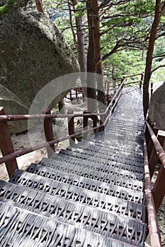 Path at Seoraksan National Park,South Korea