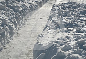 Path shoveled in snow