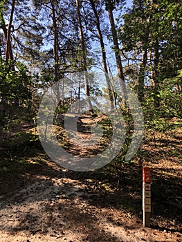 Path and sign through the forest around Beerze