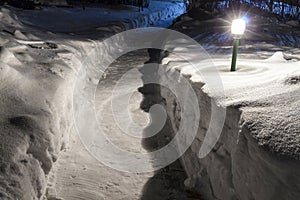 Path in the snow