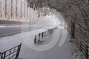 A path through snow-covered trees in Yakutsk city. Winter view of city