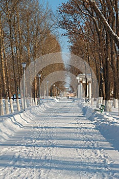 A path in a snow-covered winter park on a cold winter day, footprints in the snow. passers-by go into the distance