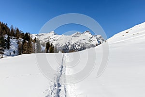 Path in snow and mountains, Cuneaz, Ayas valley ( photo