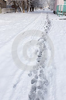 Path in the snow on the nature