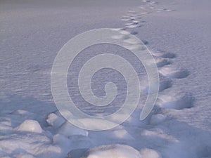 The path through the snowdrifts. Winter landscape White snow background.