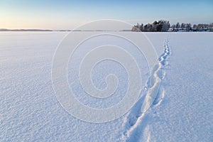 Path at a snowy lake