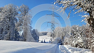 Path through snowy winter nature landscape. Beautiful snow-covered tree winter wallpaper background.  High voltage electric pole