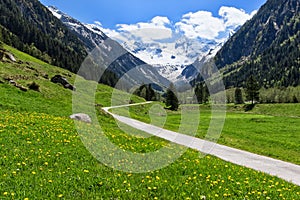 Path through spring mountain landscape near Stillup, Austria, Tyrol.