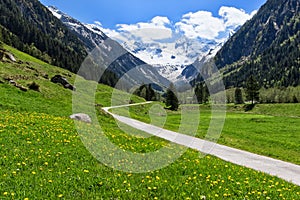 Path through spring mountain landscape near Stillup, Austria, Tyrol. photo