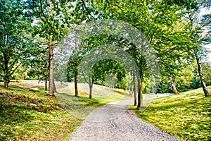 Path in spring or summer forest, nature. Road in wood landscape, environment. Footpath among green trees, ecology