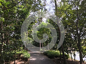 Path through the Sri Nakhon Khuean Khan Park