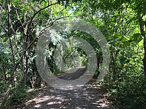 Path through Sri Nakhon Khuean Khan Park