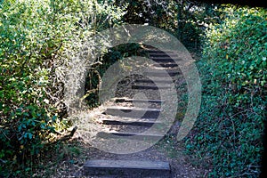 path stairs walk along brittany coast atlantic access beach pathway sea vannes arzon in france