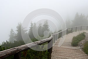 The path with steps in the Alpine mountains