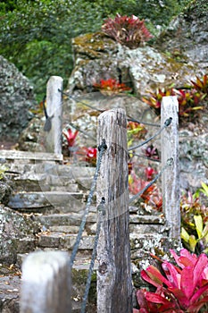 Path through a stone rockery and plants