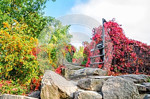 The path of the stones in a park