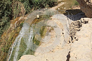 Path & Stream in the Ein Gedi Oasis, Israel