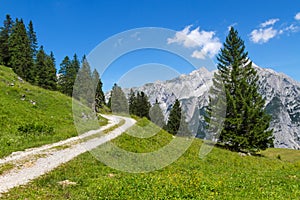 Path through summer mountain landscape. Austria. Tirol, near Walderalm