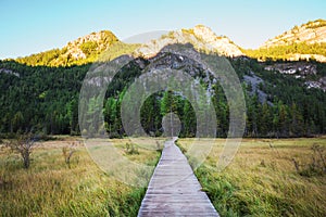 A path through a swamp made of wooden flooring. Siberia, Altai