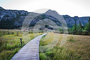 A path through a swamp made of wooden flooring. Siberia, Altai