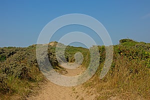 PAth thorugh the dunes along the French opal coast photo