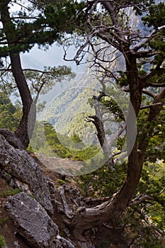 Path thru Samaria gorge