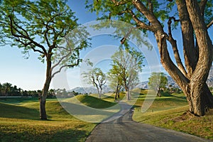 Path thru the trees at Course in California