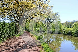 Path by the Tiverton canal, Devon