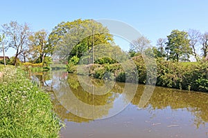 Path by the Tiverton canal, Devon