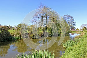 Path by the Tiverton canal, Devon