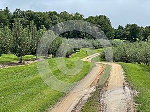 Path to Apple Orchard at Jeter Mountain Farms in Hendersonville, North Carolina