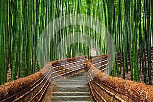 Path to bamboo forest, Arashiyama, Kyoto, Japan