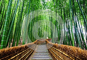 Path to bamboo forest, Arashiyama, Kyoto, Japan photo