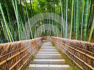 Path to bamboo forest, Arashiyama, Kyoto, Japan