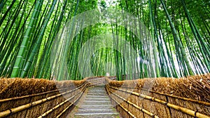 Path to bamboo forest, Arashiyama, Kyoto, Japan photo