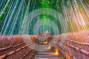 Path to bamboo forest at Arashiyama, Kyoto, Japan