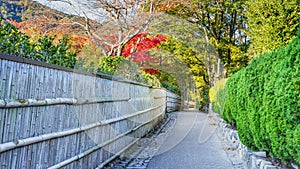 The Path to Bamboo Grov at Arashiyama in Kyoto