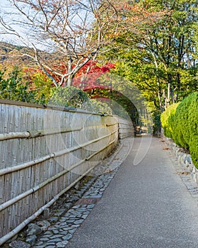 The Path to Bamboo Grov at Arashiyama in Kyoto