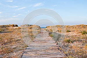 Path to the beach