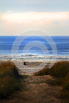 A Path to Beach