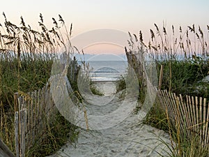 The path to the beach