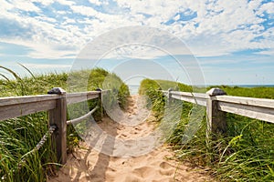 Path to the beach at Basin Head