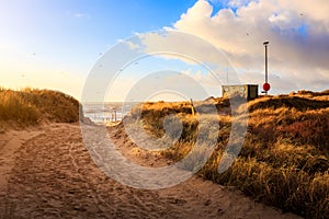 Path to the beach at Blavandshuk Fyr photo