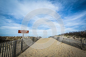 Path to the beach at Cape Henlopen State Park, in Rehoboth Beach