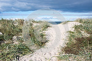 Path to beach in Denmark