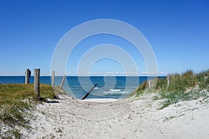 Path to the beach on a dune on Hiddensee Island, Germany
