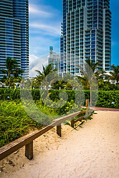 Path to the beach and highrises in South Beach, Miami, Florida. photo