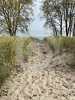 Path to the Beach at Lake Michigan