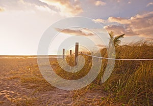 Path to the beach with Sea Oats, grass dunes at sunrise or sunset in Miami Beach