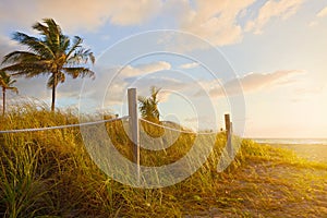 Path to the beach with Sea Oats, grass dunes at sunrise or sunset in Miami Beach